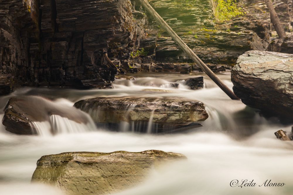 A close-up, long-exposure shot of a rocky river gorge, where smooth, milky-white water flows over and around moss-covered boulders. The layered cliff walls frame the scene, with a fallen tree leaning diagonally across the upper right side.