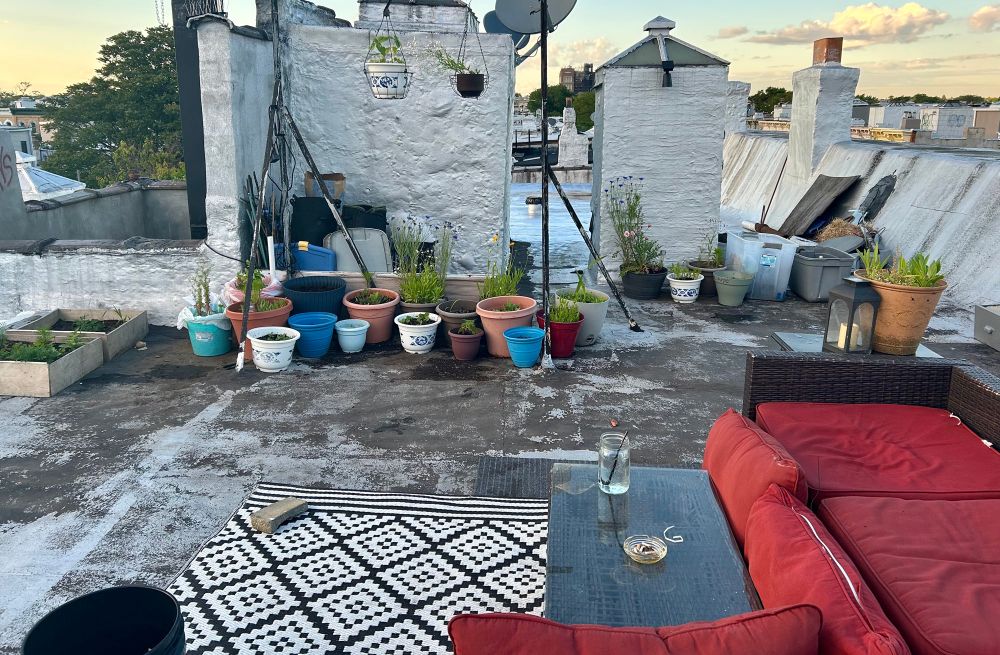 My rooftop in early stages of 2025 season. This is just the beginning! Many seeds and bulbs sowed. 🫘 