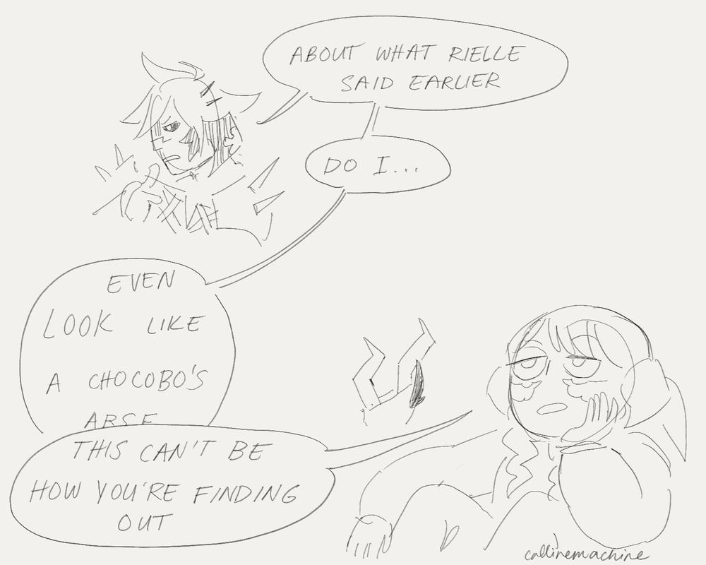 Sidurgu: about what Rielle said earlier. Do I… even LOOK like a chocobo’s arse
Calline, bored, cutting him off: this can’t be how you’re finding out