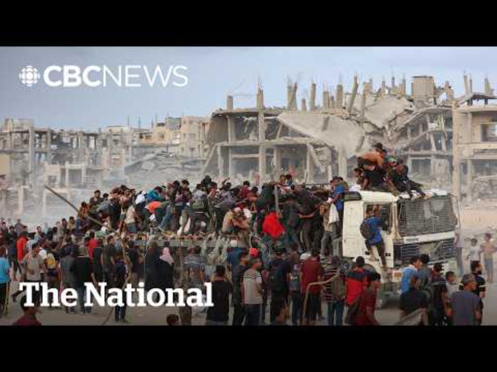 Gaza hunger crisis: Why aid distribution is failing