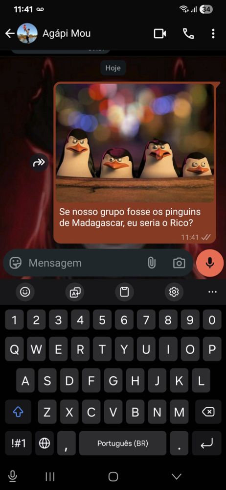 Mandei uma foto dos pinguins de Madagascar para meu amigo perguntando se nosso grupo fosse eles se eu seria o Rico.
