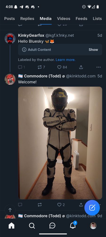 A post as seen on my safe for work account where I have Adult Content labels hidden by default.