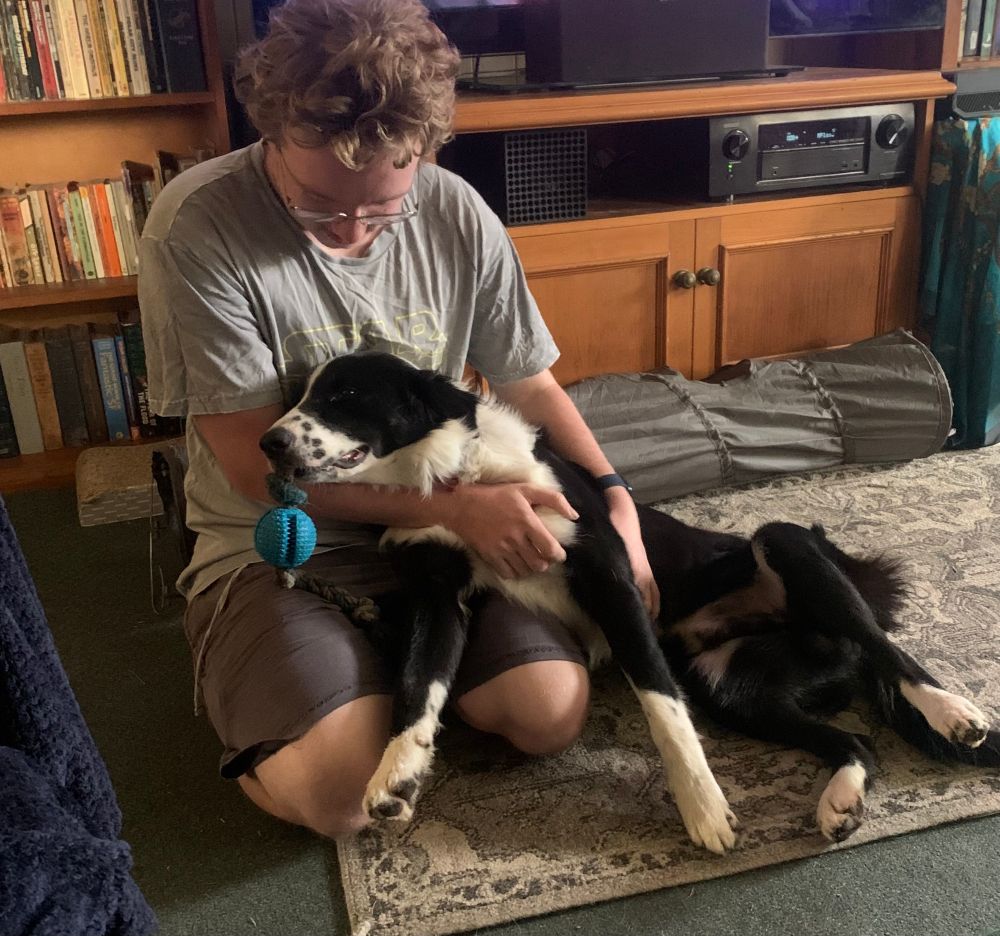 Blonde and curly headed young man looking down lovingly at his over dramatic border collie who is stretched out in the man’s lap in seeming despair, with his favourite toy dangling from his mouth.