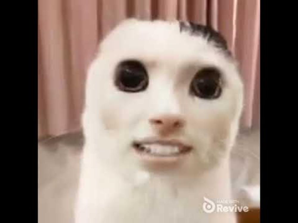 monday left me broken #meme