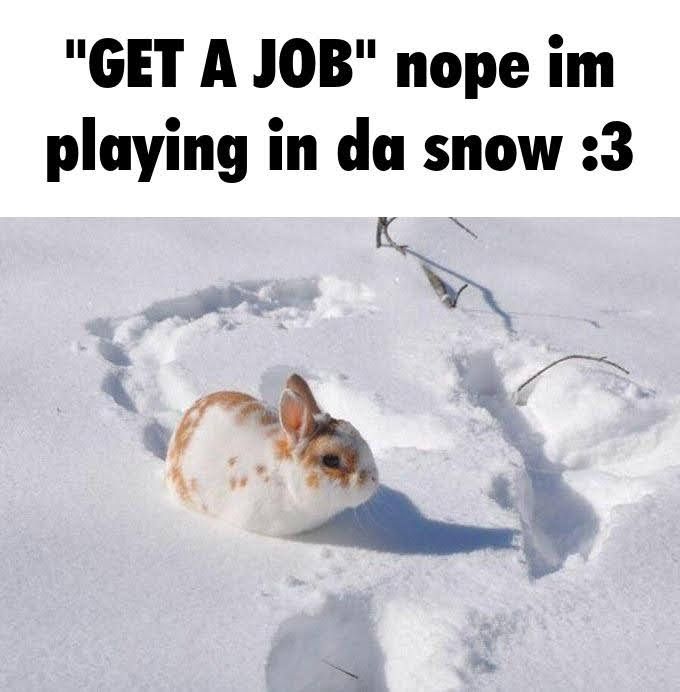 GET A JOB nope im playing in da snow :3 