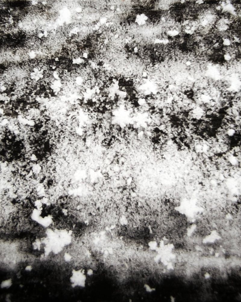 A close up of tiny, pretty snowflakes.