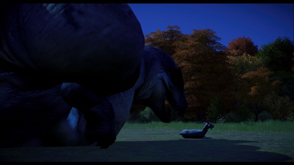 The goat lies prone, the acro raises its head.