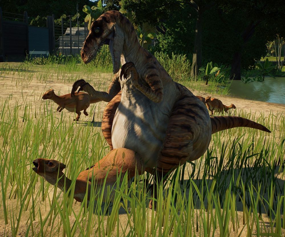 The raptor landing on the alarmed herbivore, pinning them to the ground with their weighty belly. A few more Homalocephale are panicking in the background.

Keywords:
NSFW kink fetish scaly dino dinosaur raptor feral quad expansion fat ass cheeks haunches rump butt hips belly gut 