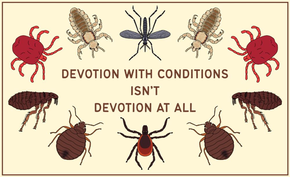 several illustrated insects and arachnids arranged symmetrically around text saying "devotion with conditions isn't devotion at all". the species included are a mosquito, a human head louse, a berry mite, a common flea, a bedbug, and a tick.