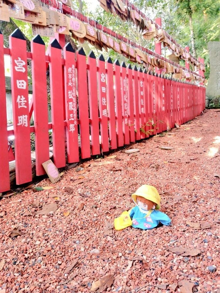 沢山の絵馬がある