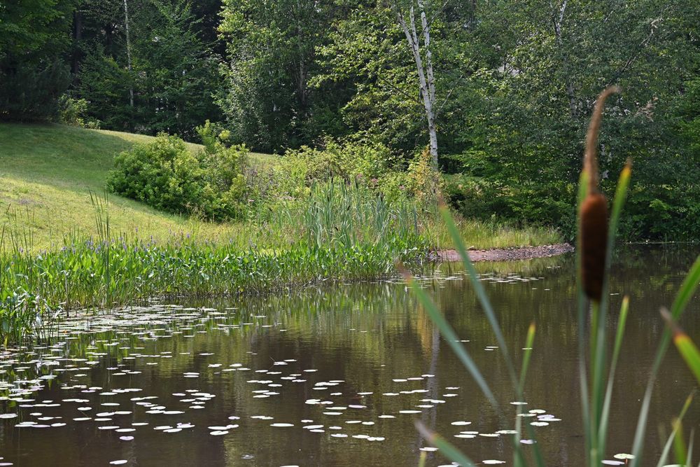 Pond at the Atmospheric Chemistry GRC.