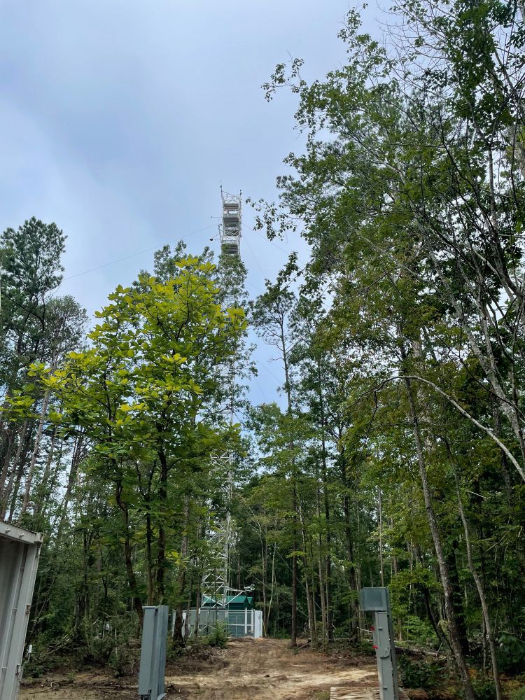 Very tall tower for measurements of biosphere/atmosphere exchange at the DOE field site in Alabama. You can see the tower rising up out of the forest.