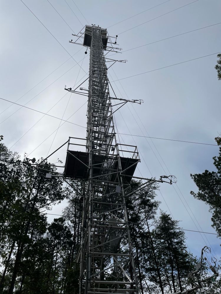 Closer view of the tower at Bankhead National Forest.