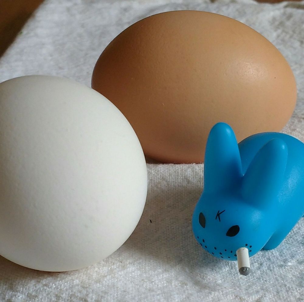 A white and a brown chicken egg sit behind a small blue rabbit figurine that has two black eyes, a small "k" on its forehead, blacks dots on the face like stubble and a half burnt cigarette in its mouth.