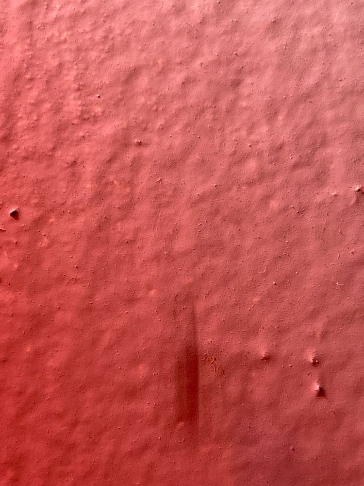 A photo of the previous Triangulate Cobweb Spider, but he is just a blur as he falls off the wall.