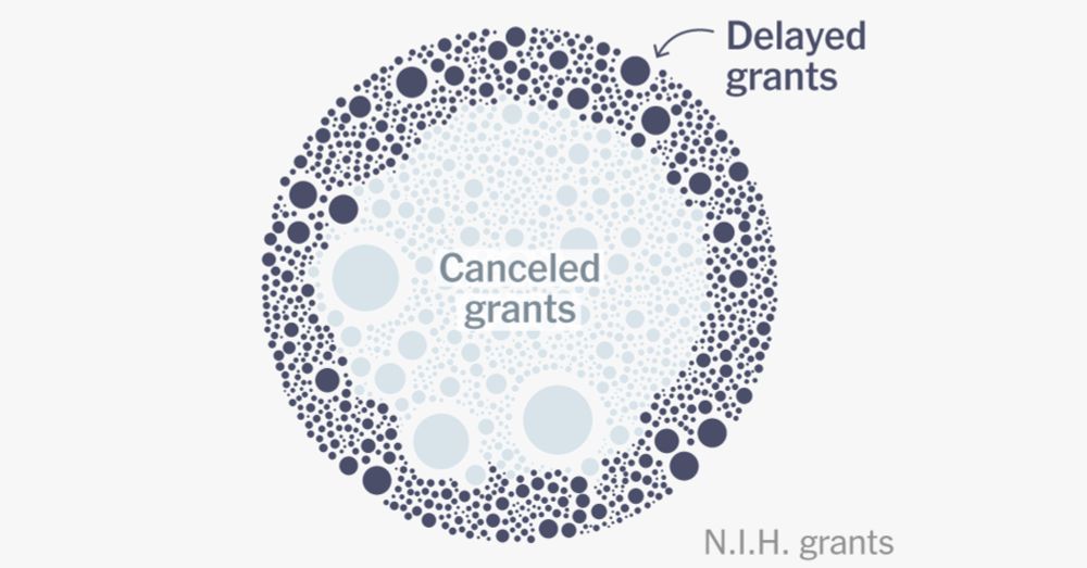 The Gutting of America’s Medical Research: Here Is Every Canceled or Delayed N.I.H. Grant
