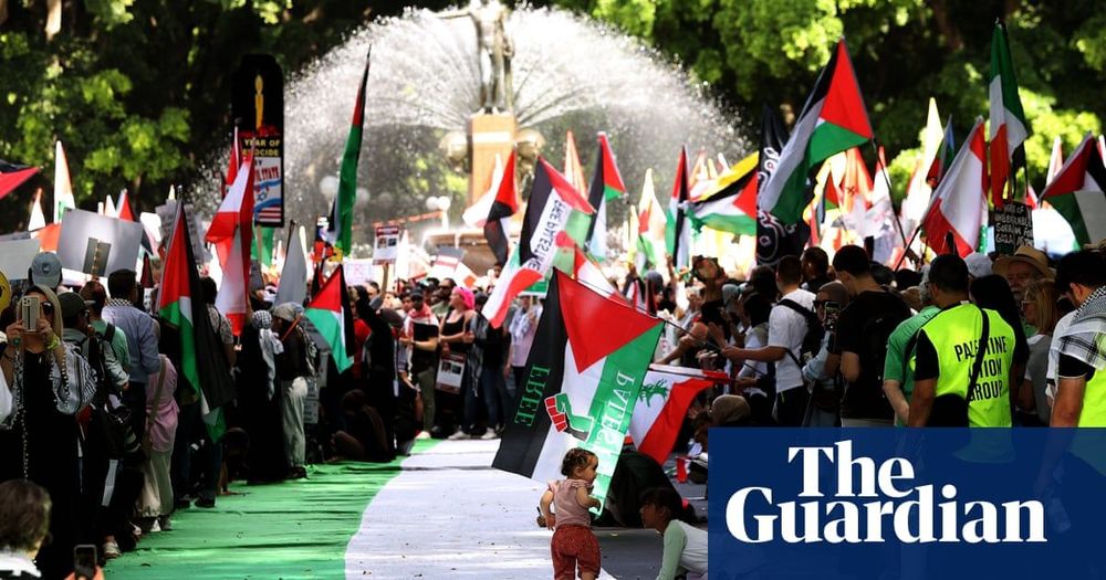 NSW premier says police should be able to ban pro-Palestine protests because they are too expensive