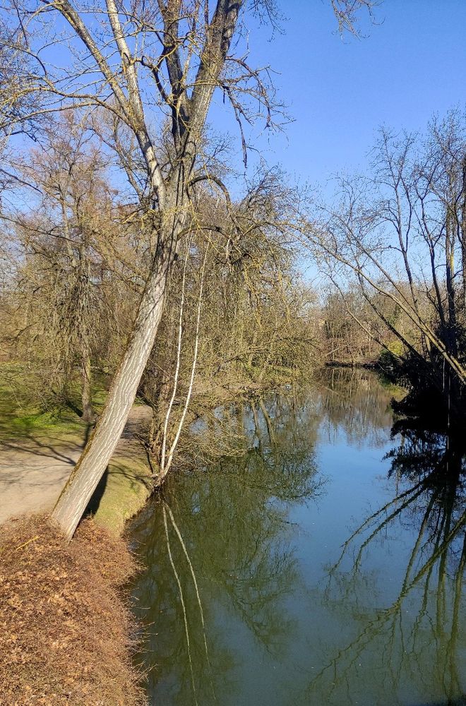 Blick von einer Brücke auf die Oker. Beide Ufer werden von noch mit unbelaubten Bäumen begleitet.