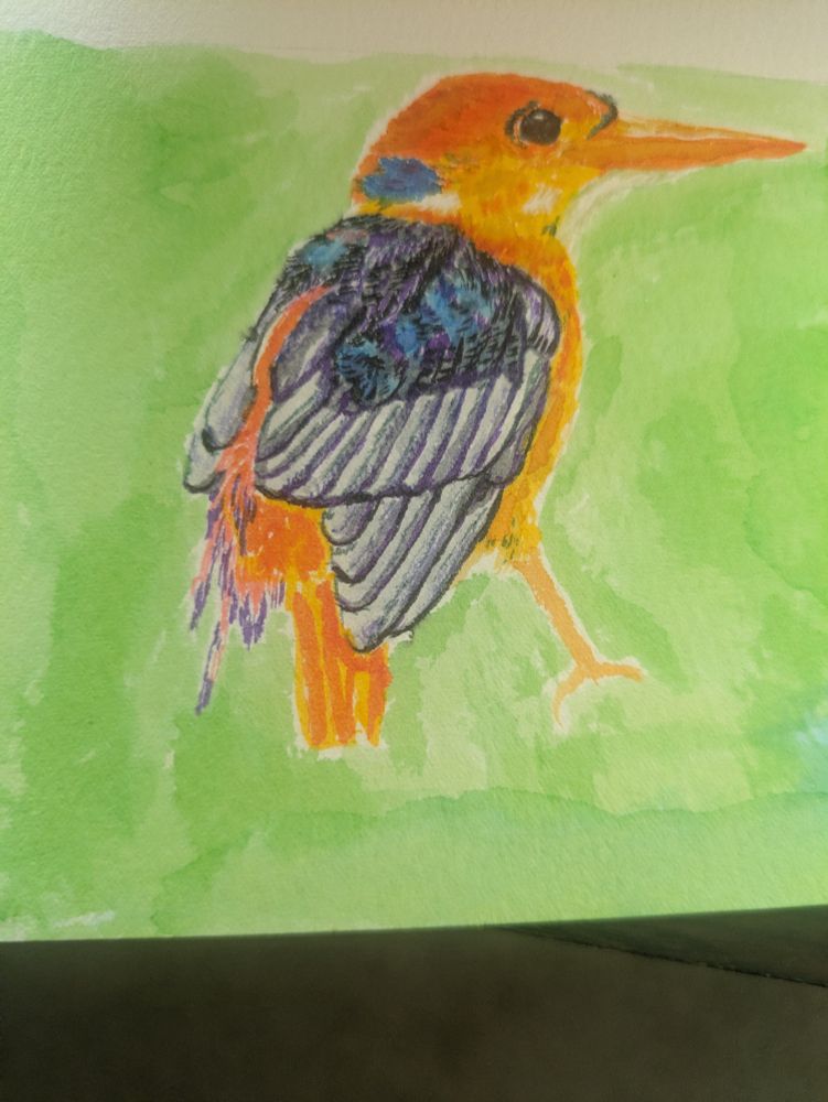 A watercolor marker rendition of a kingfisher