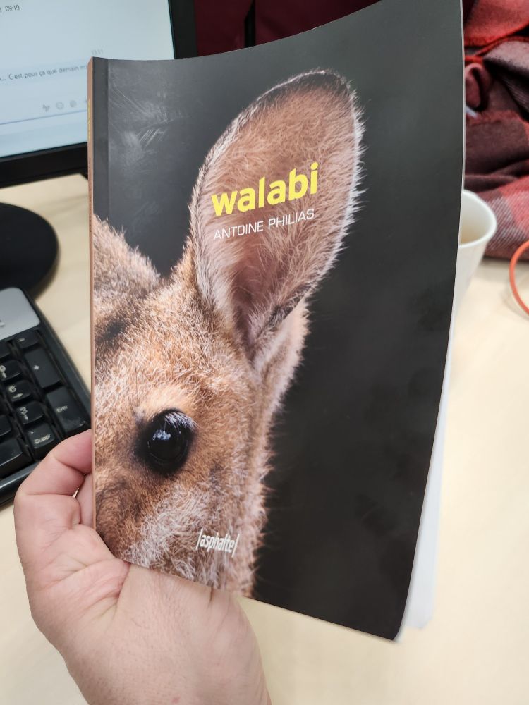 Couverture du livre Walabi de Antoine Philias
