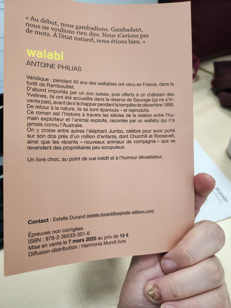 4eme de couverture de Walabi