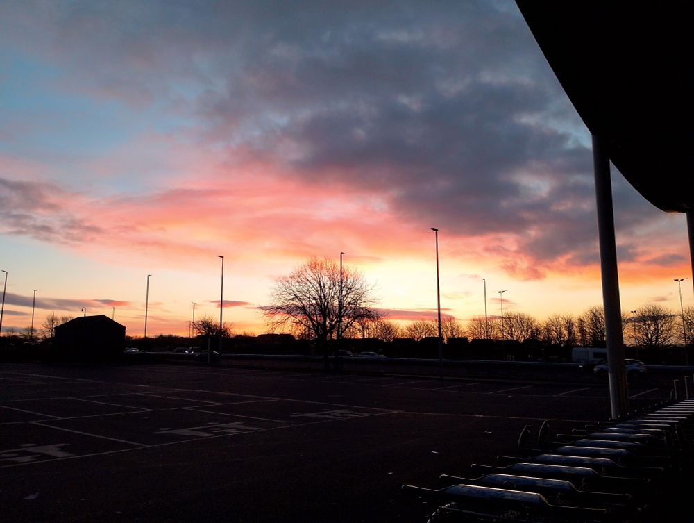 A golden sunrise lighting up the sky, turning the underside of the clouds orange and pink and mauve grey. There is a single bare tree on the horizon in the centre with the rooftops of houses going from left to right.