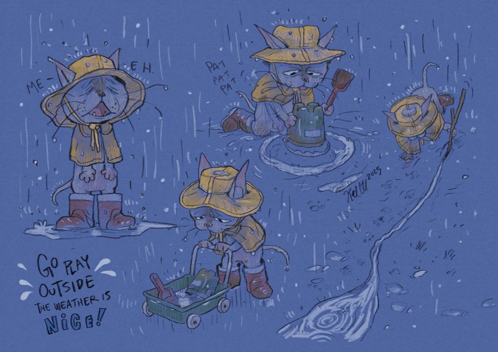 A miserable looking sphynx kitten playing in rain. It’s wearing yellow rain poncho and a hat and red wellies.