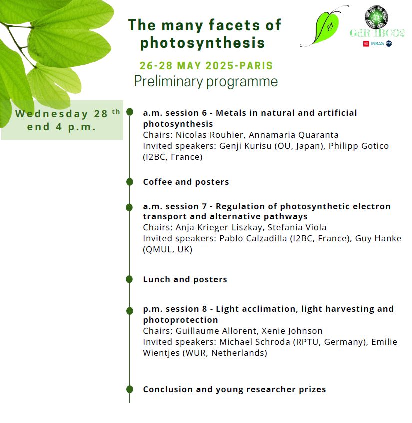 Day 3
The conference will focus on photosynthesis as its central theme, exploring a wide range of cutting-edge topics related to this fundamental process. Discussions will span diverse aspects of photosynthesis, including:

Carbon assimilation and metabolism
Coordination of photosynthesis with nutrition
Ecophysiology and biodiversity of photosynthesis
Gene expression and plastids
Light acclimation, light harvesting, and photoprotection
Metals in natural and artificial photosynthesis
Photosynthetic genes and genomes and evolution of photosynthesis
Regulation of photosynthetic electron transport and alternative pathways
Keynote Speaker

Andrew Leakey (IU, USA)
Invited Speakers

Cécile Bernard (MNHN, France)
Pablo Calzadilla (I2BC, France)
José L. Crespo (CSIC, Spain)
Peter Geigenberger (LMU, Germany)
Philipp Gotico (I2BC, France)
Guy Hanke (QMUL, UK)
Marianne Jaubert (IBPC, France)
Tatjana Kleine (LMU, Germany)
Genji Kurisu (OU, Japan)
Julia Legen (HU, Germany)
Hatem Rouached (MSU, USA)
Michael Schroda (RPTU, Germany)
Åsa Strand (UMU, Sweden)
Guillaume Tcherkez (IRHS, France)
Emilie Wientjes (WUR, NL)