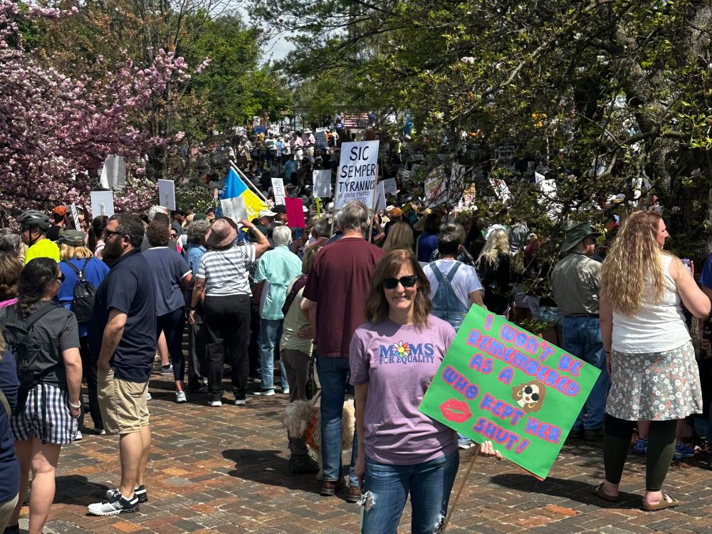 Picture of crowd at Hands Off protest in Roanoke, VA