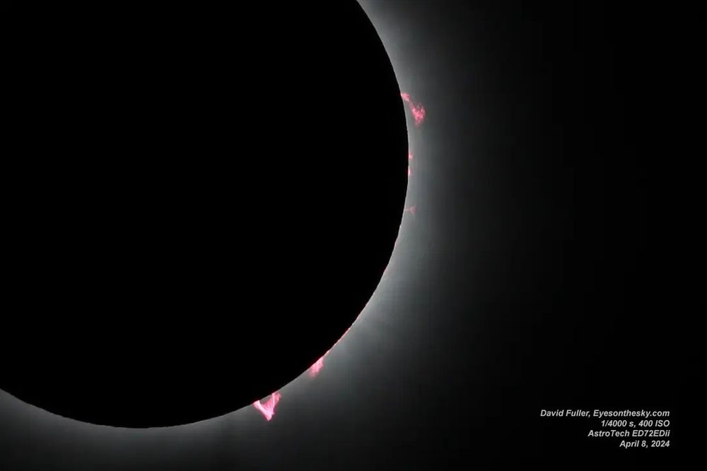 A solar eclipse. Large red prominences are along the edge.