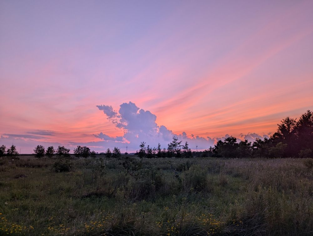 An image of a prairie in the lower third of the image, somewhat darkened due to the lesser light. Above is the sky, pale purples, blues and oranges due to clouds, shadows and the setting Sun.