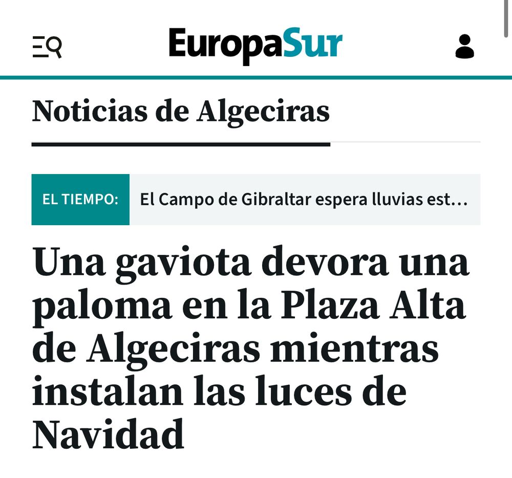 Articulo europa sur sobre una gaviota que ataca a una paloma