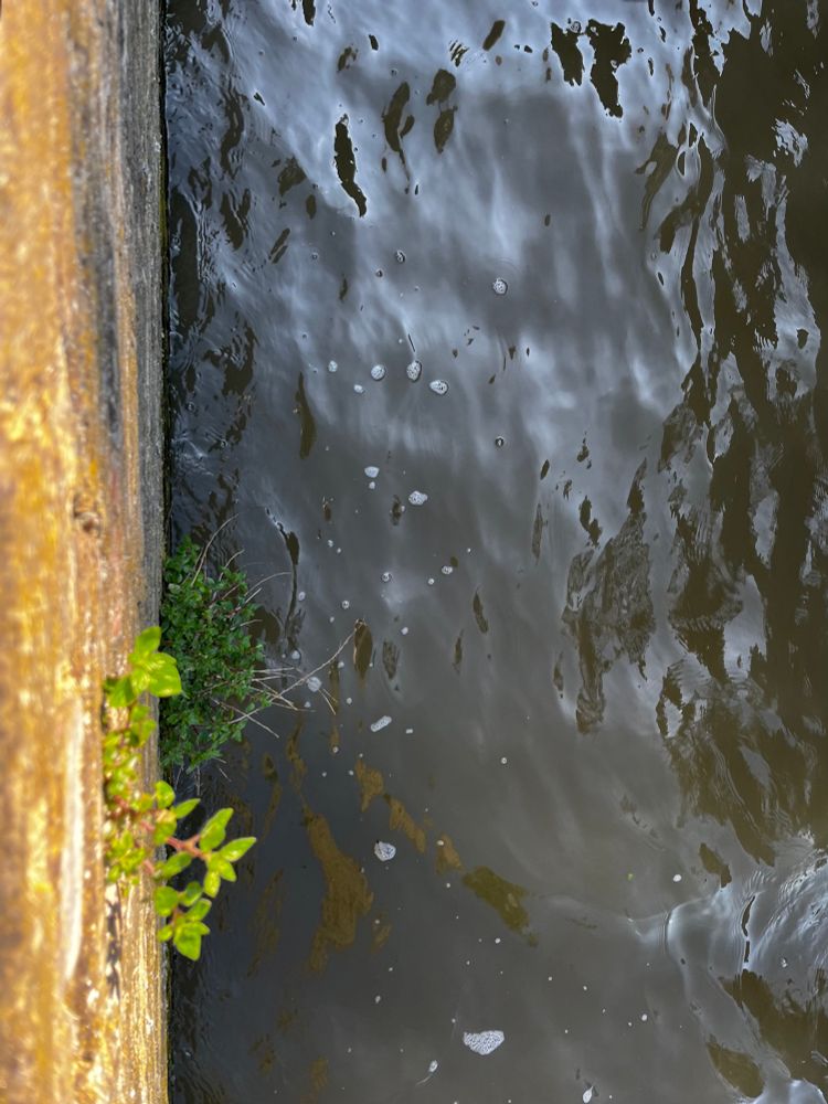 Comment image