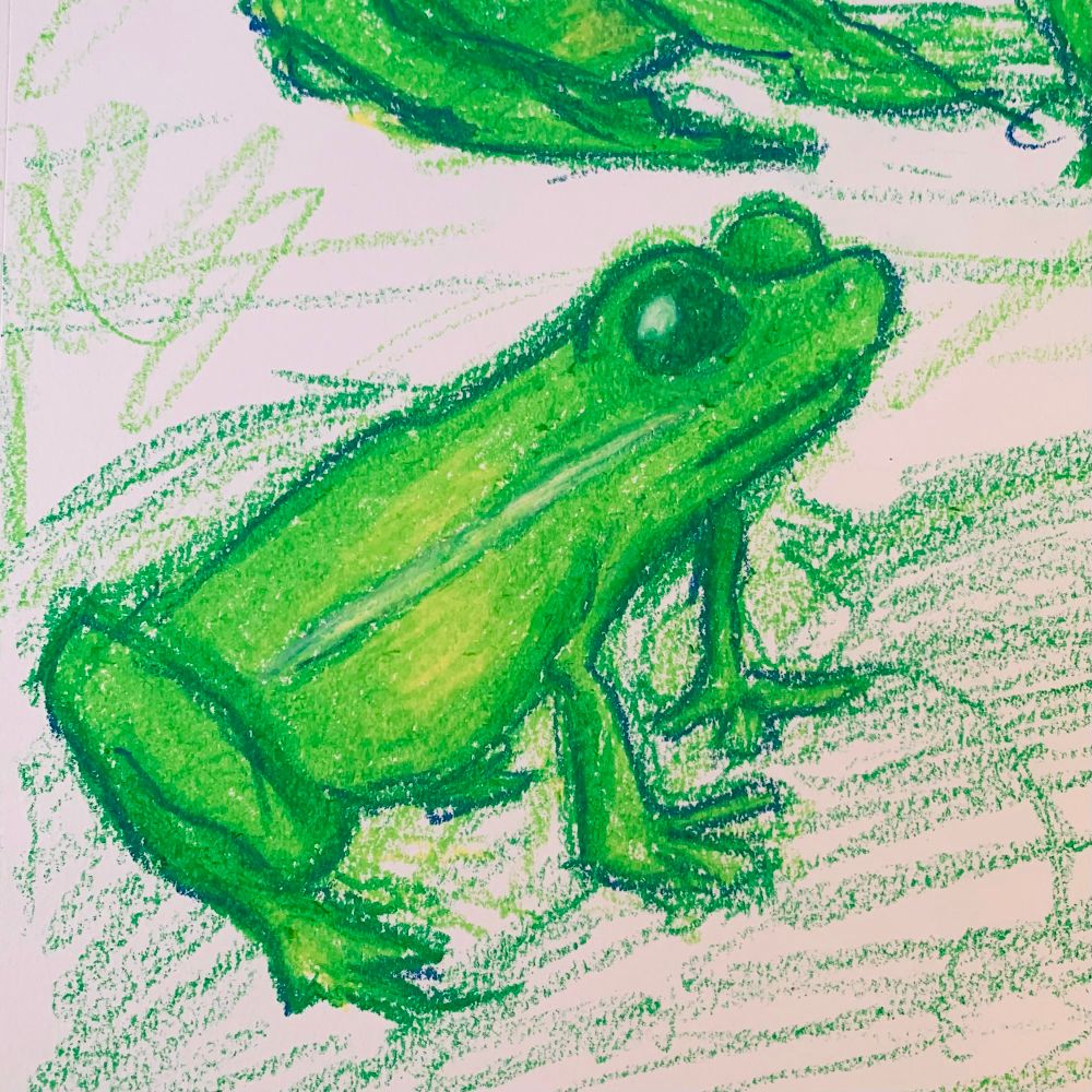 Oil pastel of a frog sitting