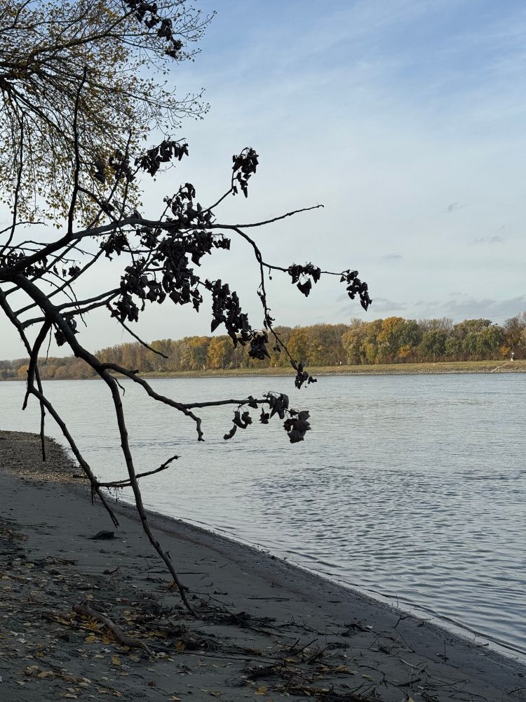 donaustrand bei kritzendorf