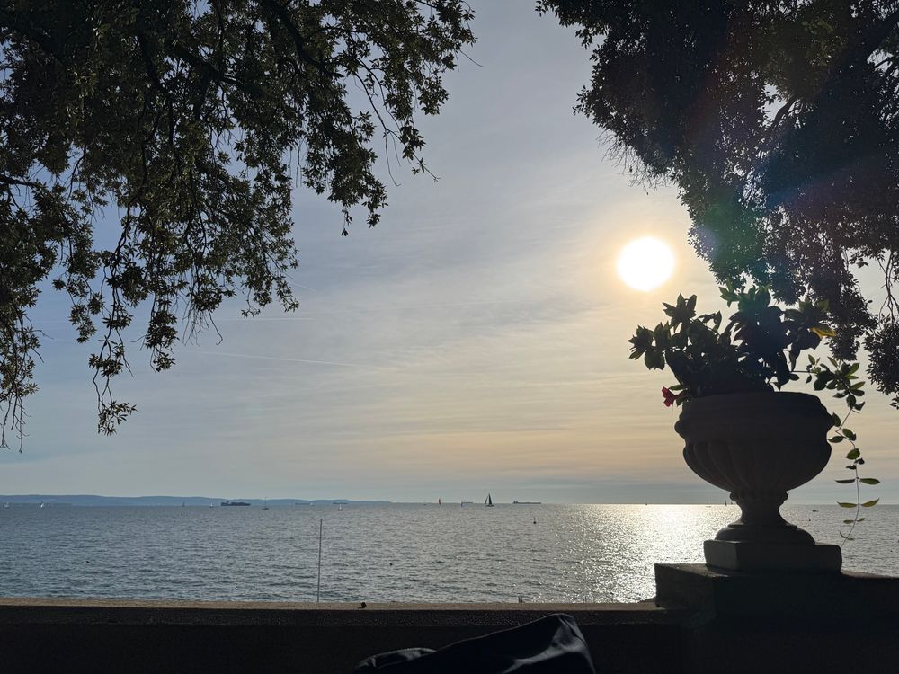 meer und niedrig stehende sonne und davor ins bild hängende zweige
