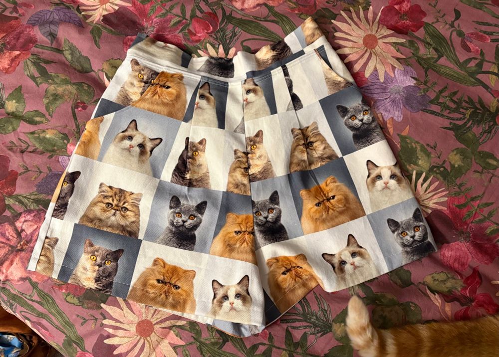 A pair of high waisted shorts that are patterned with photos of cats in a grid, lays on a purple floral bedspread. A ginger cat’s tail is also slightly visible in the photo. 