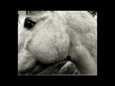 Bonny Light Horseman - Deep In Love (official audio)