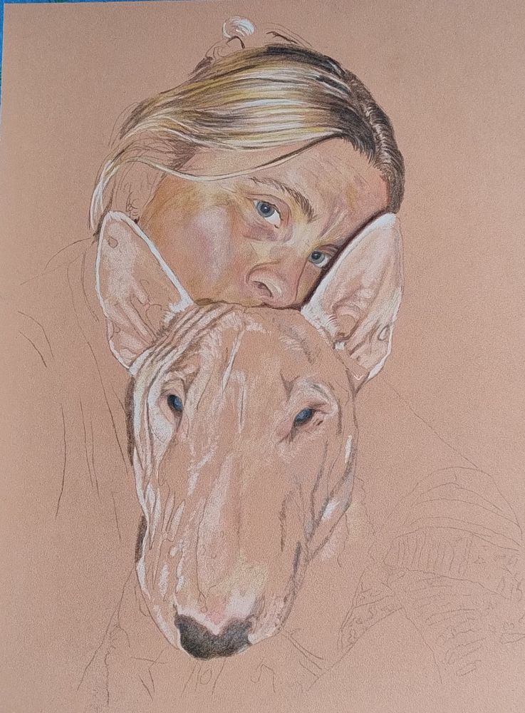 Sketch in coloured pencil of longhaired women with hair tied up with her face half covered, cuddling a pure white english bull terrier dog. The dog is looking directly out of the picture at the viewer . You can only see the dogs head. It is partially coloured. 