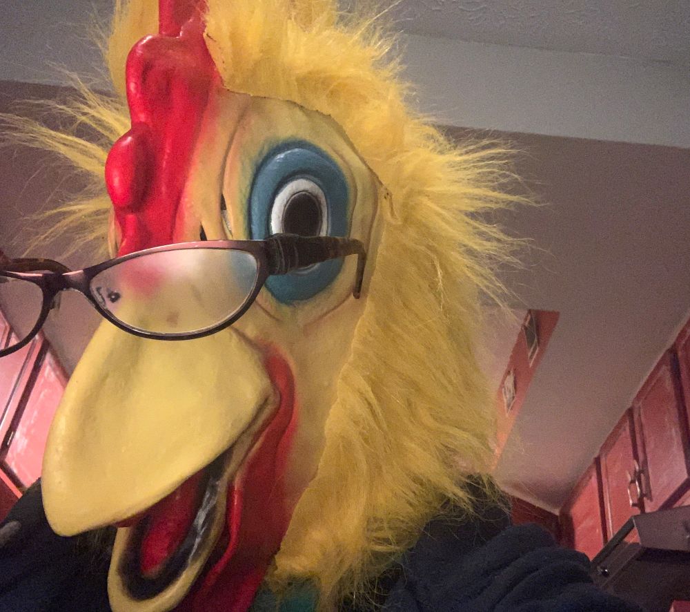 An off-center selfie of me, a giant, rubbery-faced, yellow chicken with big, round eyes, unkempt furry feathers, and a substantial beak (but a generally friendly countenance overall), holding up my small cat-eye wire-rimmed metallic maroon eye glasses which are slightly fogged up. Some cabinets from my “old red barn” themed kitchen is visible in the background.