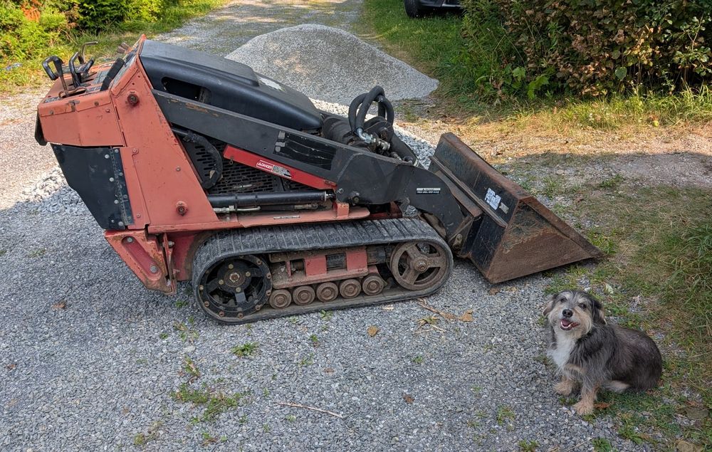 Chapter the dog and a walk behind skid steer 