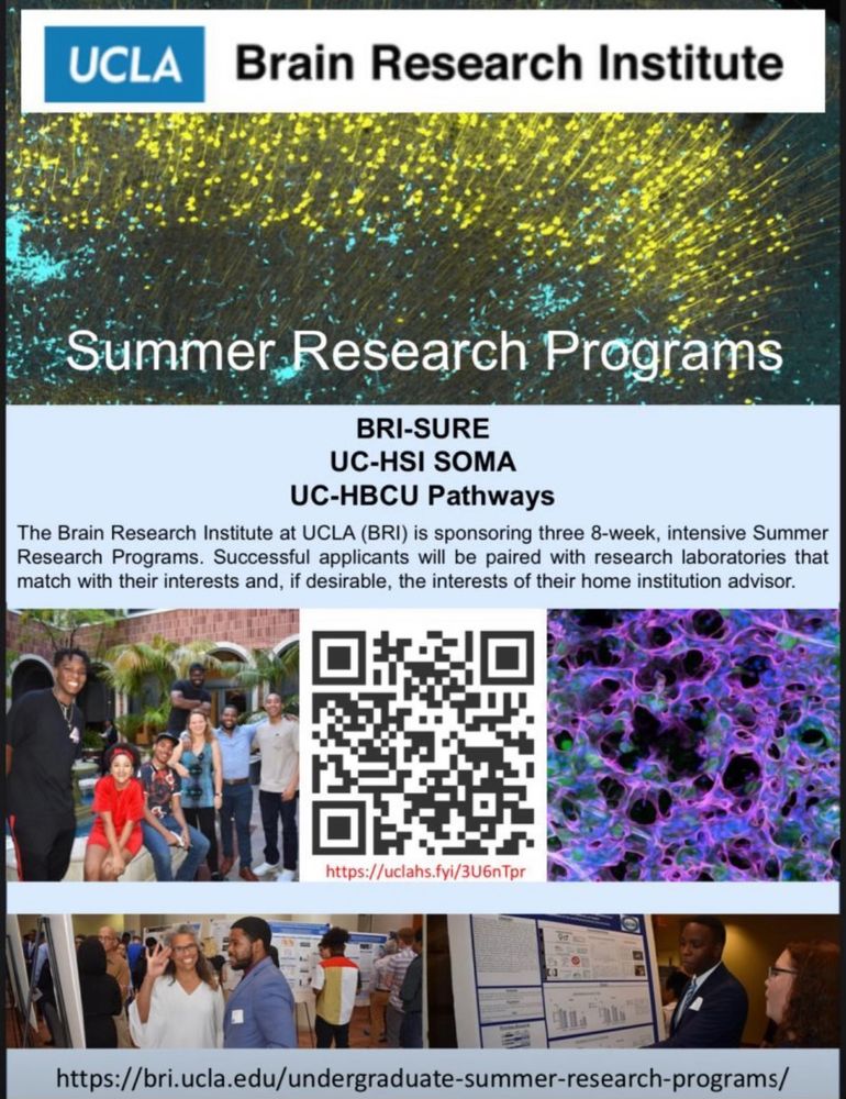 UCLA Brain Research program flyer showing neuroscience art, social gatherings, and poster presenting.