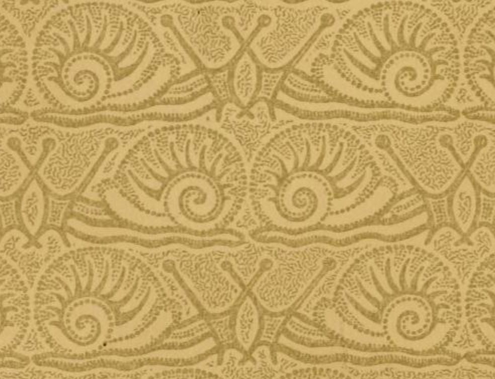 A piece of the back inside cover of Species Plantarum by Linnaeus (1753), showing yellowed pairs of snails facing each other in a repeated pattern