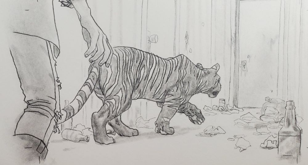 Graphite drawing of a tiger with dark fur and lighter stripes, creeping toward a door that is opened just a crack. Bottles, garbage, and drug debris litter the floor. We can see the tense body language if a man in the foreground, watching the tiger stalk forward.