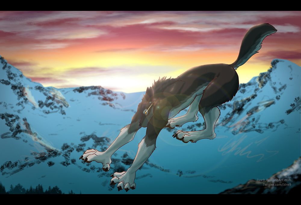 Zire - Commissions open: 