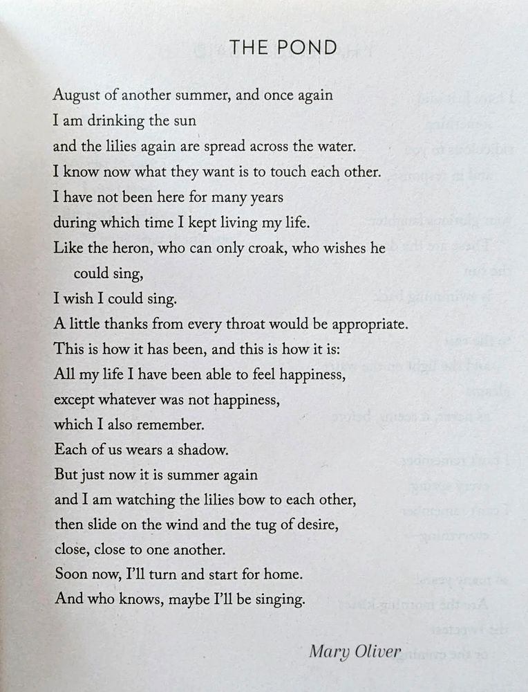 THE POND by Mary Oliver 

August of another summer, and once again
I am drinking the sun 
and the lilies again are spread across the water.
I know now what they want is to touch each other.

I have not been here for many years 
during which time I kept living my life.
Like the heron, who can only croak, who wishes 
he could sing, I wish I could sing.
A little thanks from every throat would be appropriate. 
This is how it has been, and this is how it is: 
All my life I have been able to feel happiness, 
except whatever was not happiness, 
which I also remember.
Each of us wears a shadow.
But just now it is summer again 
and I am watching the lilies bow to each other, 
then slide on the wind and the tug of desire, 
close, close to one another.
Soon now, I'll turn and start for home.
And who knows, maybe I'll be singing.


From Felicity 
Penguin Books, 2015.
