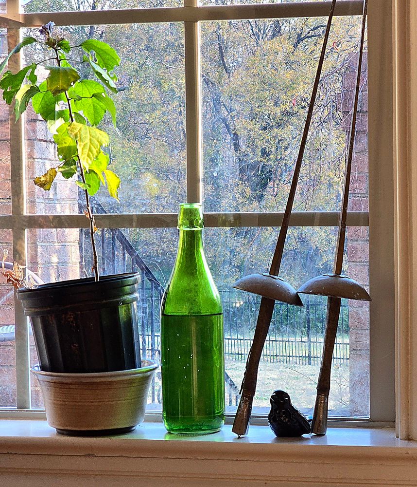 A photo of a window looking out onto some trees. On the wide window sill are a potted rose of sharon, a green glass bottle full of water, two epees, and a small black ceramic bird. 