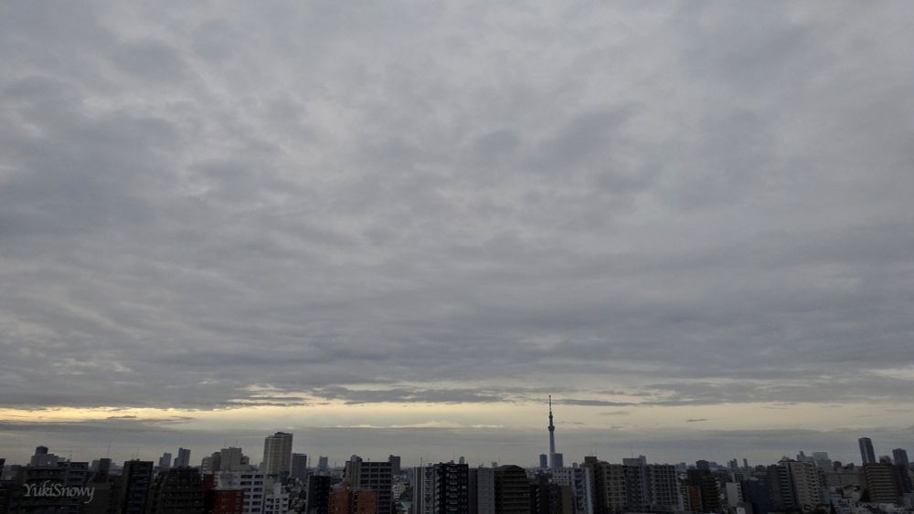 2025-11-06 06:44 Tokyo