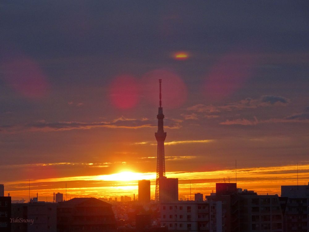 2025-11-02 06:22 Tokyo