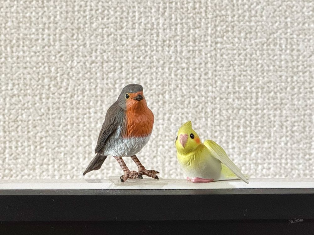 ロビンとオカメインコのフィギュア